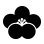 SYRINX Pure Melt series